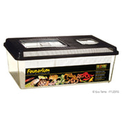 EXO TERRA Faunarium Plat en Plastique L pour Reptiles