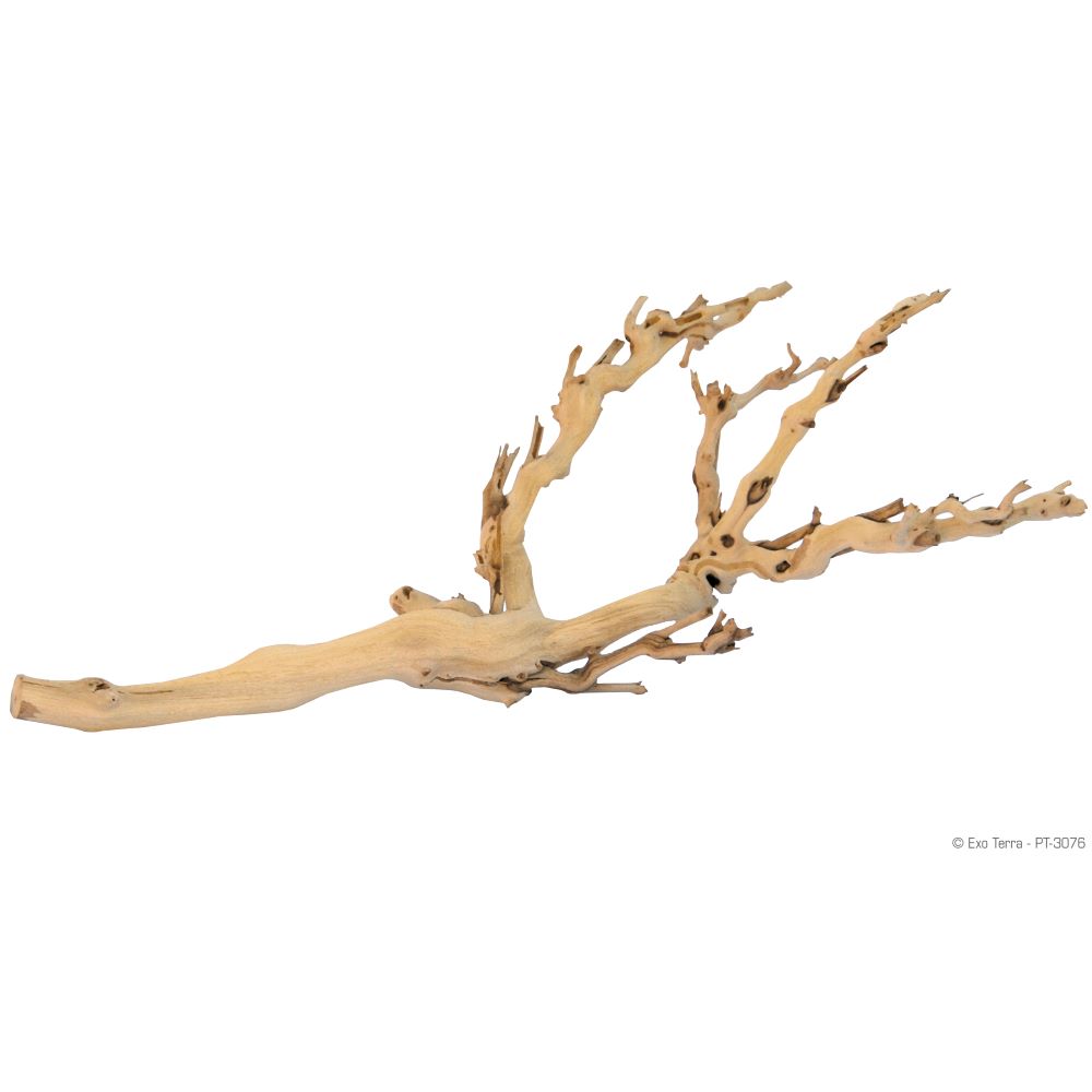 Exo Terra - Branche de Vigne Sablée - Décoration pour Terrariums