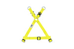 Voir l’image dans la galerie, *RCP Harnais Base Step-In Base XS Tennis