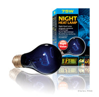 EXO TERRA Ampoule Nocturne 75W Infrarouge A19 pour Reptiles