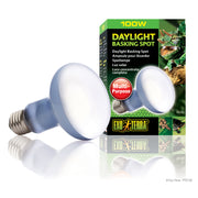 EXO TERRA Ampoule 100W Lumière du Jour R25 pour Reptiles