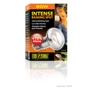 EXO TERRA Ampoule Intense 50W S20 pour Reptiles