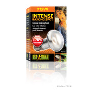 EXO TERRA Ampoule Intense 75W S20 pour Reptiles