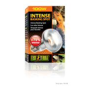 EXO TERRA Ampoule Intense 100W S25 pour Reptiles