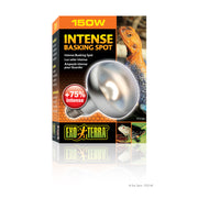 EXO TERRA Ampoule Intense 150W S30 pour Reptiles