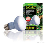EXO TERRA Ampoule 25W Lumière du Jour R20 pour Reptiles