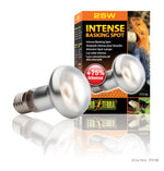 Voir l’image dans la galerie, EXO TERRA Ampoule Intense 25W S20 pour Reptiles