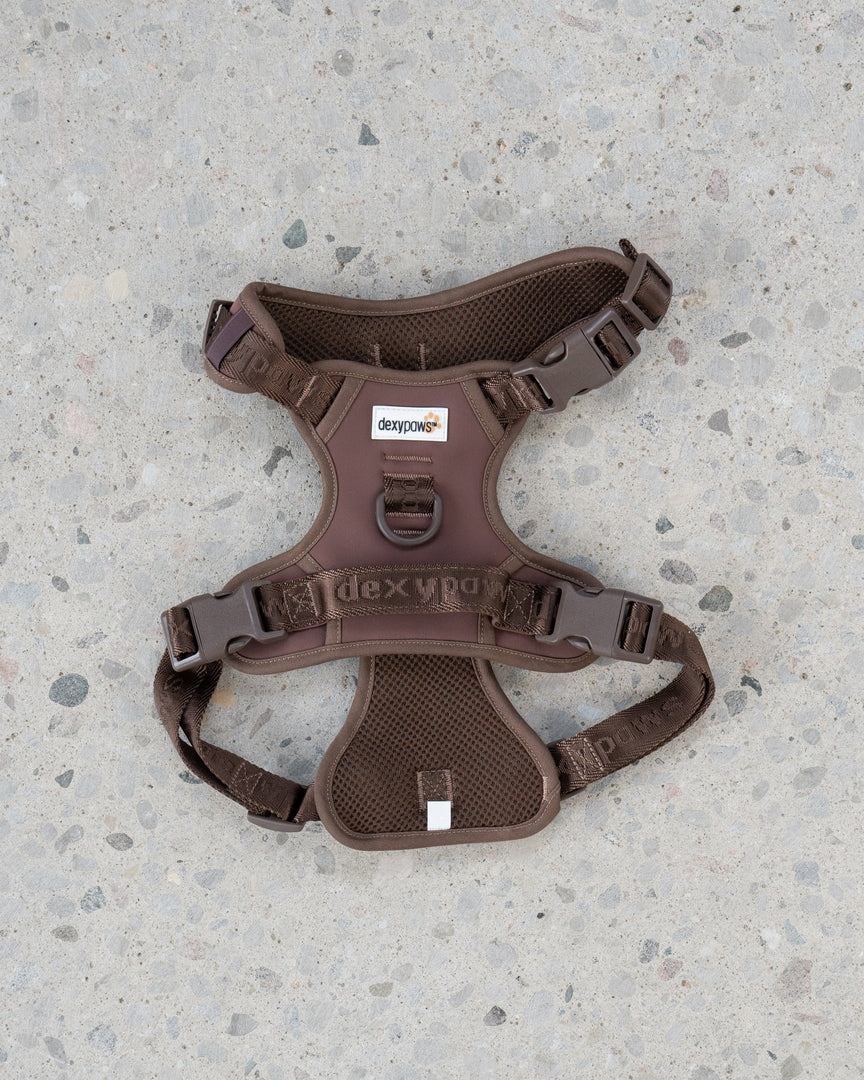 Dexypaws - Harnais Imperméable - Harnais Sans Traction pour Chiens