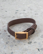 Voir l’image dans la galerie, Dexypaws - Collier Imperméable - Collier pour Chiens
