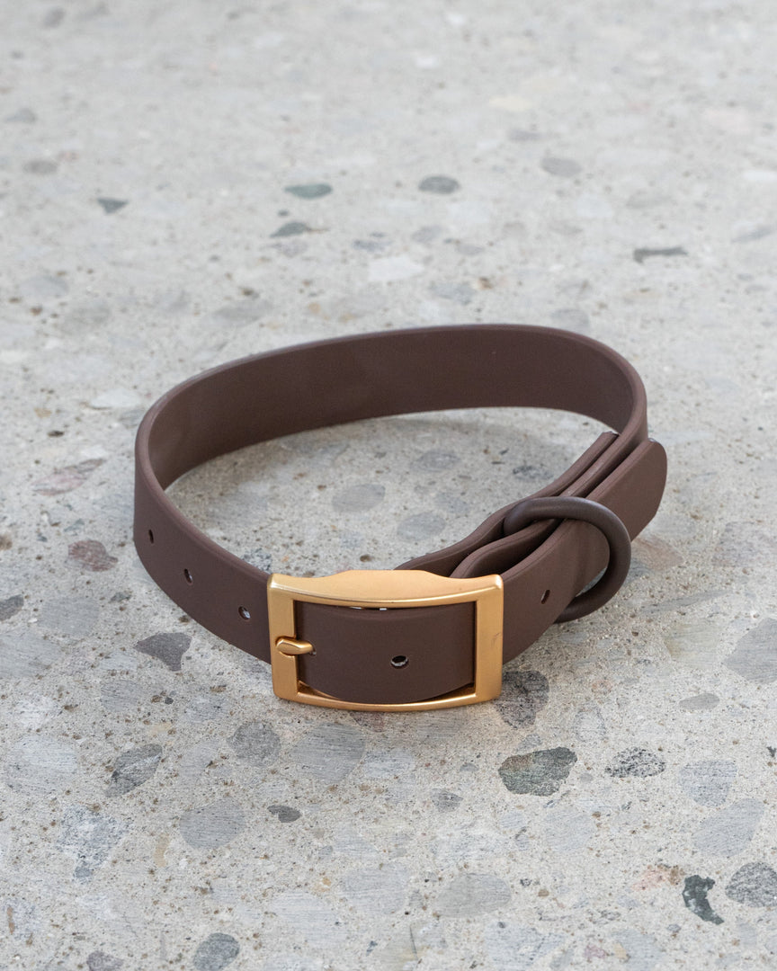 Dexypaws - Collier Imperméable - Collier pour Chiens
