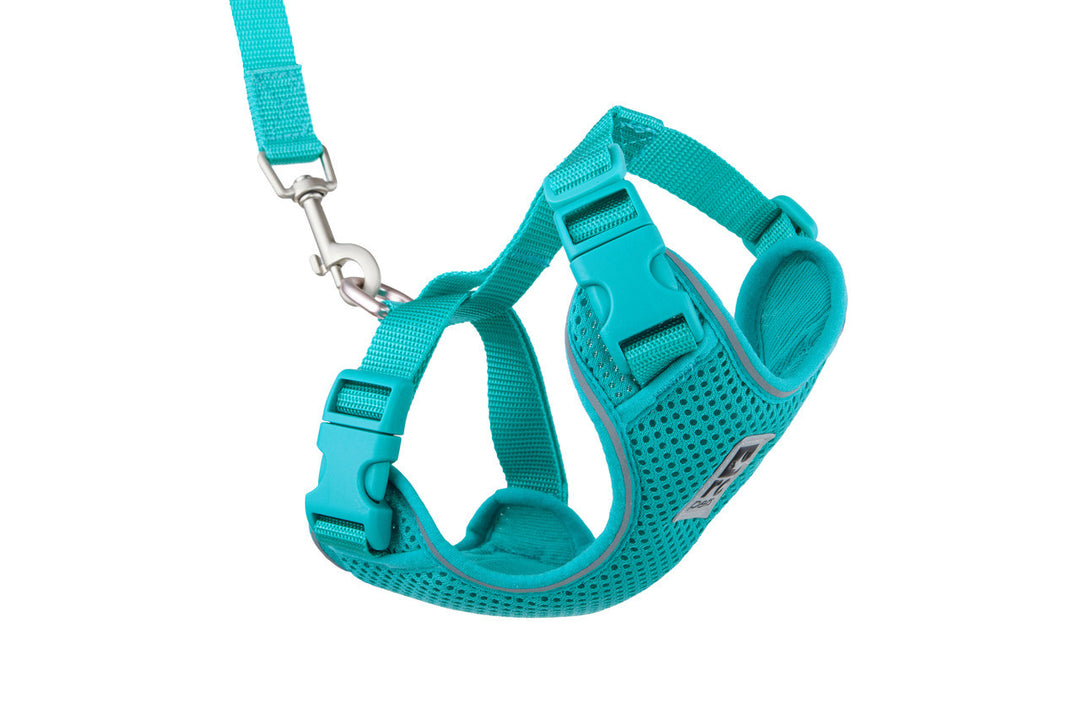 RCP Chat Harnais Aventure S 11-15" Turquoise