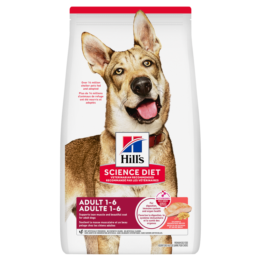 Hill's Science Diet - Saumon et Riz Brun - Nourriture Sèche pour Chiens Adultes 1-6 Ans