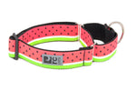 Voir l’image dans la galerie, RCP Collier Dressage Sangle Motif L Melon d'Eau