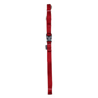 ZEUS Laisse Nylon L 3/4x48" Rouge