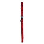 ZEUS Laisse Nylon S 3/8x48
