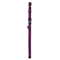ZEUS Laisse Nylon L 3/4x48" Aubergine