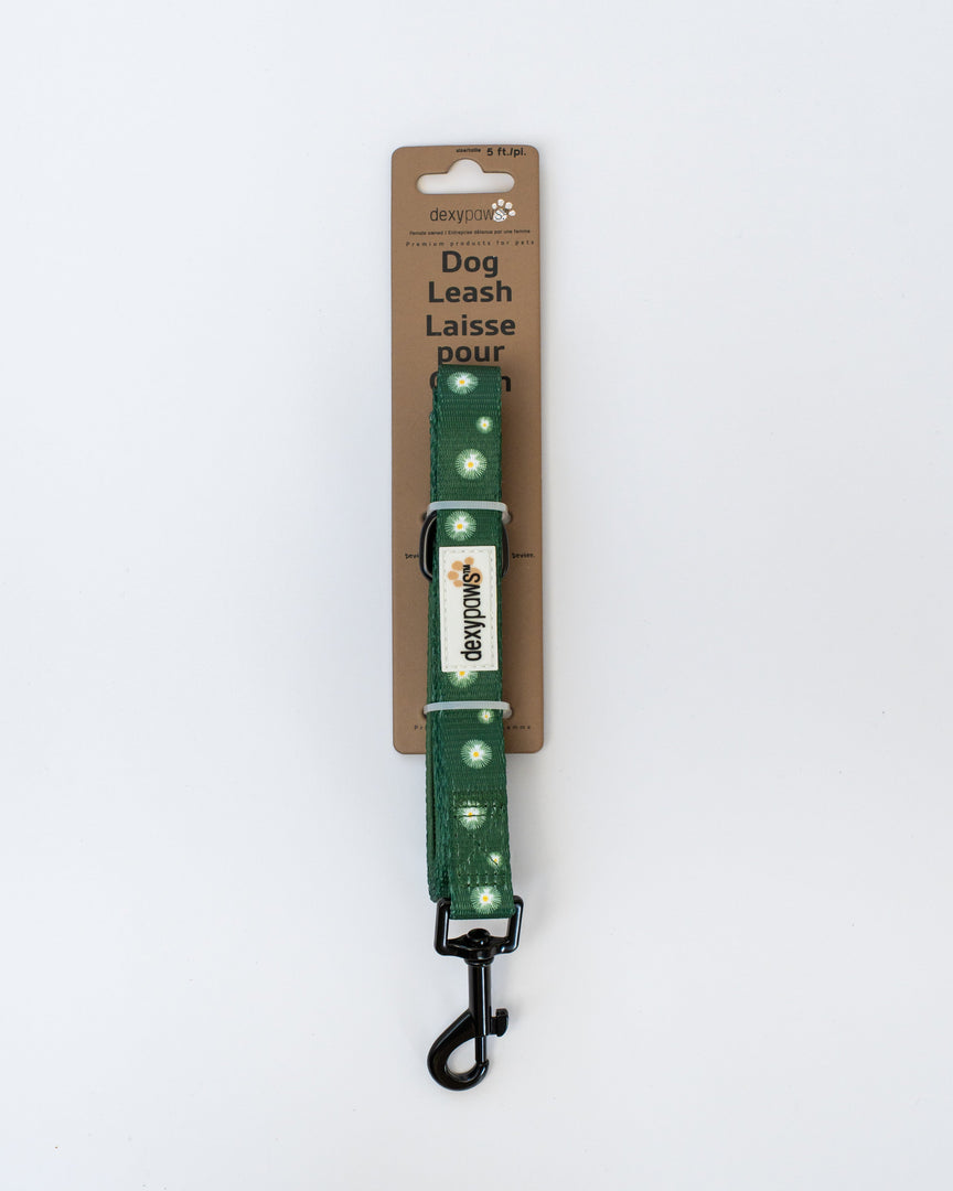 Dexypaws - Laisse en Polyester - Laisse pour Chiens