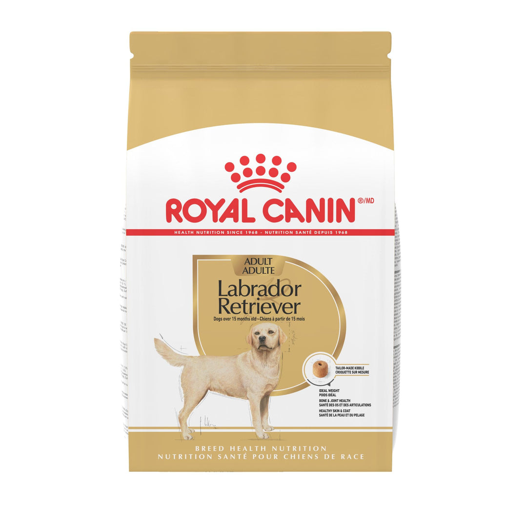 Royal Canin - Labrador Retriever - Nourriture Sèche pour Chiens Adultes