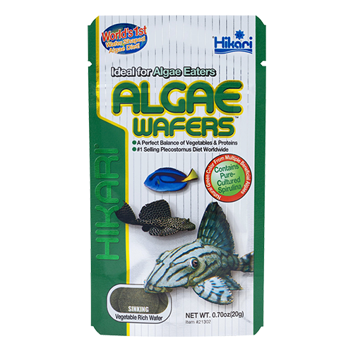 HIKARI Nourriture Algae Wafers 0.70oz