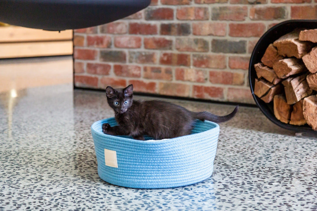 FUZZYARD Life Lit en Panier de Corde pour Chat Bleu
