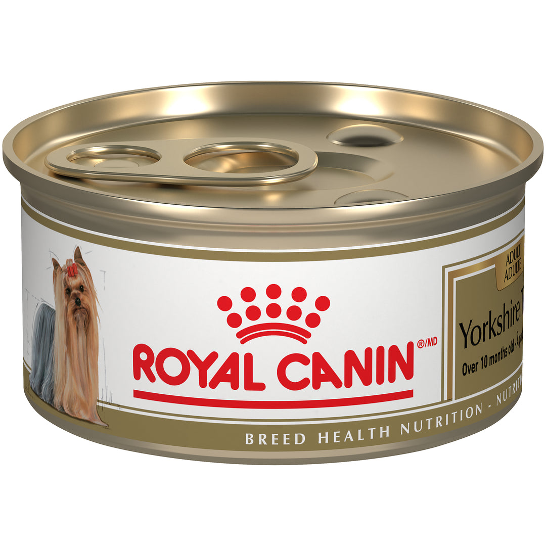 ROYAL CANIN Chien Yorkshire Terrier, Pâté en Sauce 85g