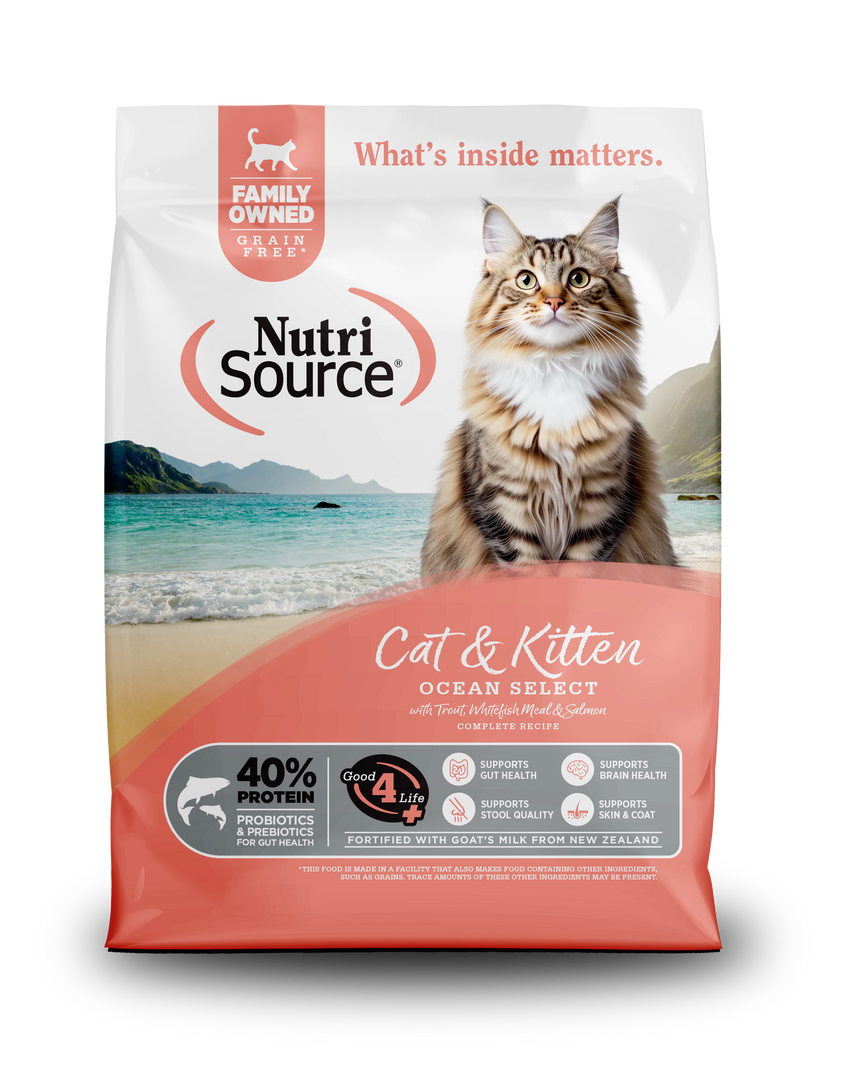 NutriSource - Chat & Chaton Ocean Select Truite, Poisson Blanc et Saumon - Nourriture Sèche Sans Grains pour Chats