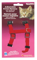 Voir l’image dans la galerie, Burgham - Harnais Ajustable en Nylon 3/8" pour Chatons (9-15") - Harnais pour Chats