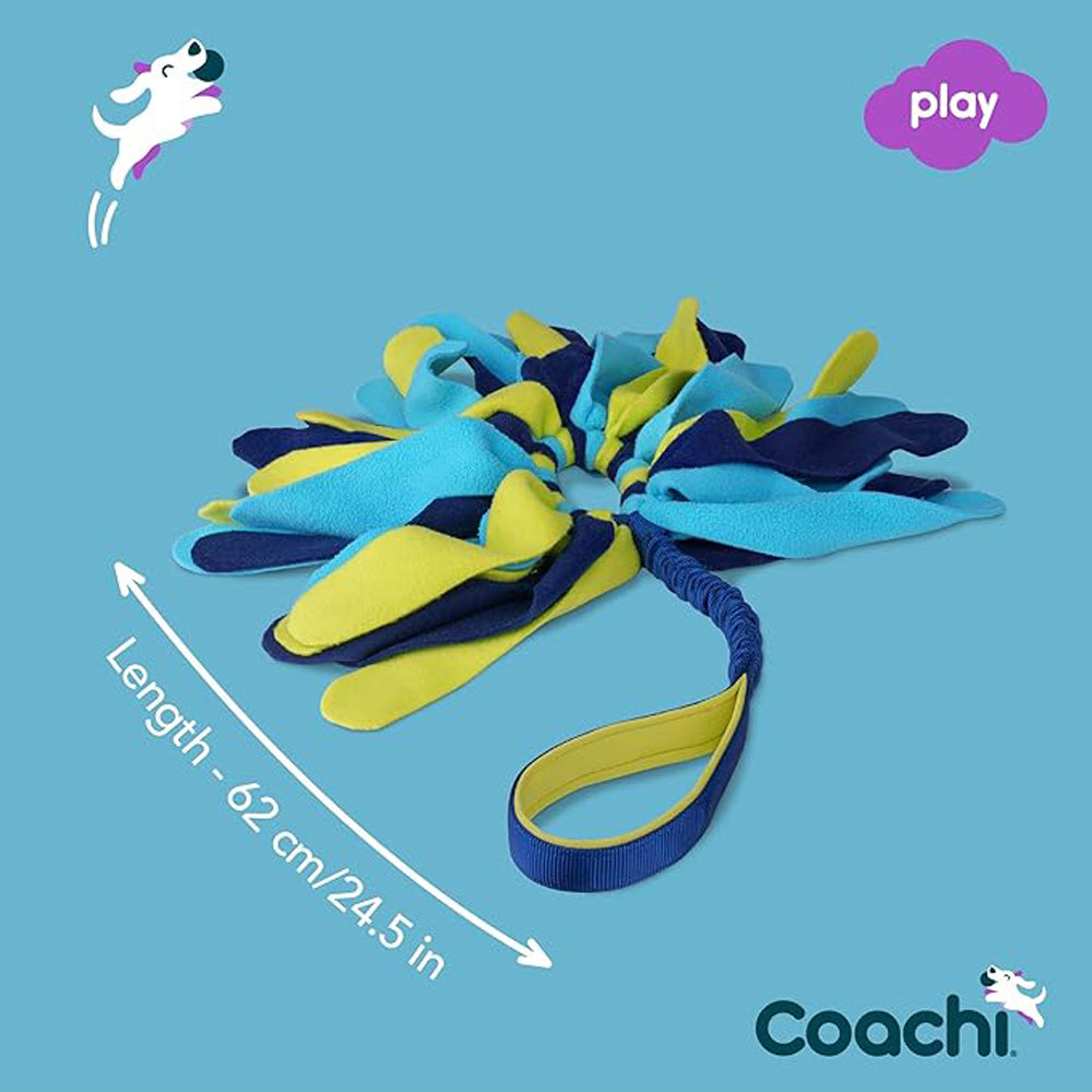 Coachi - Jouet Interactif Tuggli Spider pour Chiens, 24.5"