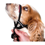Voir l’image dans la galerie, Halti - Licol de Dressage OptiFit - Accessoire de Dressage pour Chiens