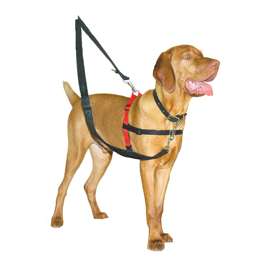 Halti - Harnais de Contrôle Avant - Harnais pour Chiens