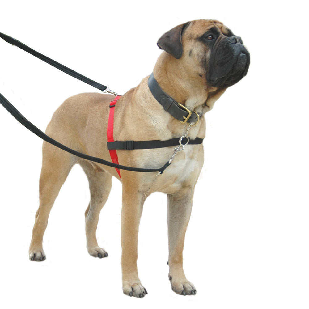 Halti - Harnais de Contrôle Avant - Harnais pour Chiens
