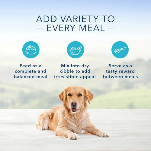 Blue HomeStyle - Chien Pâté de Dinde avec Légumes du Jardin - Nourriture Humide pour Chiens