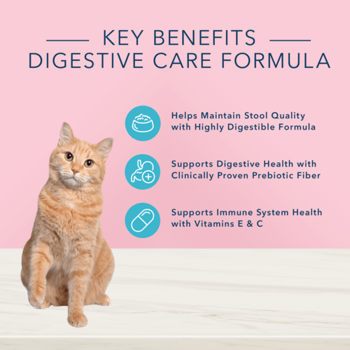 Blue True Solutions - Chat Adulte Santé Digestive Poulet - Nourriture Sèche pour Chats