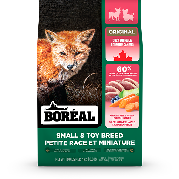 Boréal Original Sans Grains - Canard - Nourriture Sèche pour Chiens de Petites Races et Miniatures