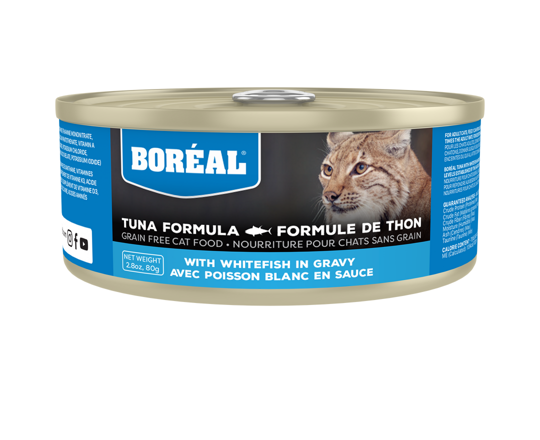 Boréal - Thon et Poisson Blanc en Sauce - Nourriture Humide Sans Grains pour Chats