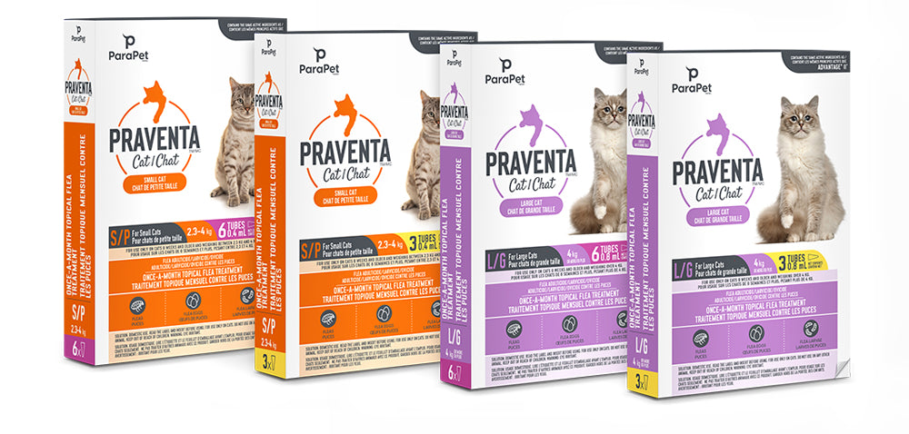 K9 PRAVENTA 360 Chat Parapet pour Petits Chats 3 Tubes