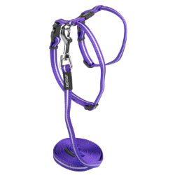 ROGZ Chat Harnais & Laisse AlleyCat Violet 8-12"