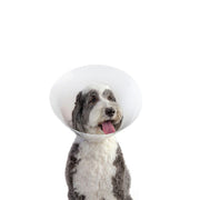 BAXTER & STELLA Collerette XL
