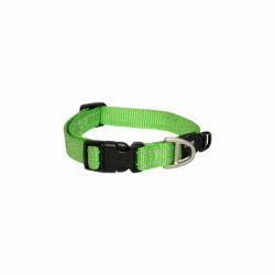 ROGZ Collier Multi-Usage XS Vert Citron