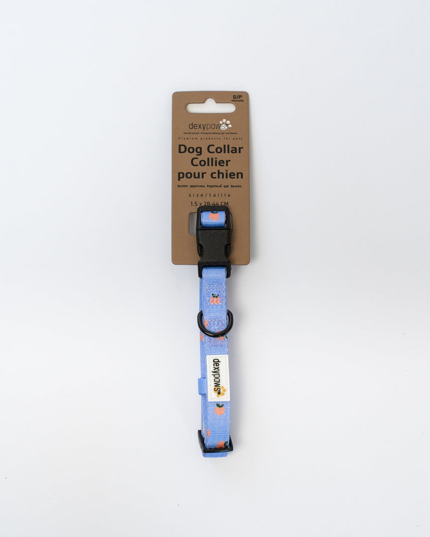 DEXYPAWS Collier Polyester Motifs Mandarines L Bleu Ciel