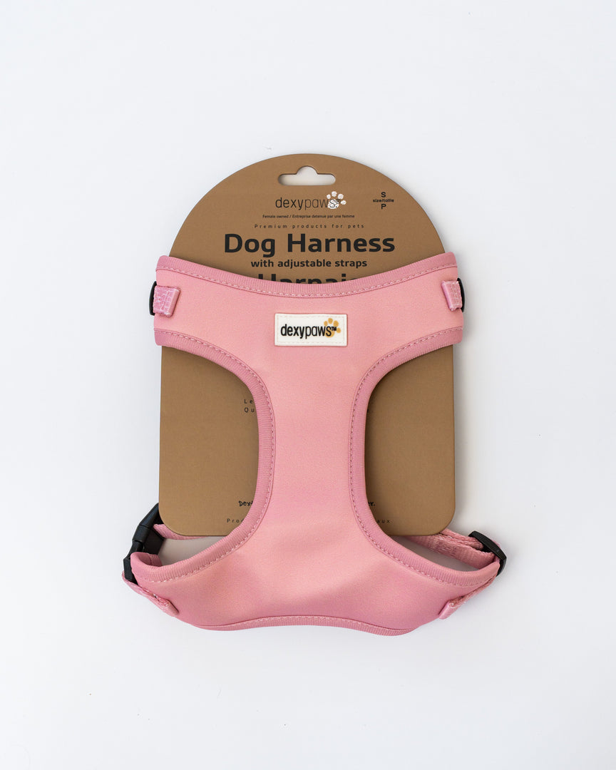 Dexypaws - Harnais en Néoprène - Harnais pour Chiens