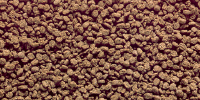 HIKARI Nourriture Discus Bio-Gold 2.2lb
