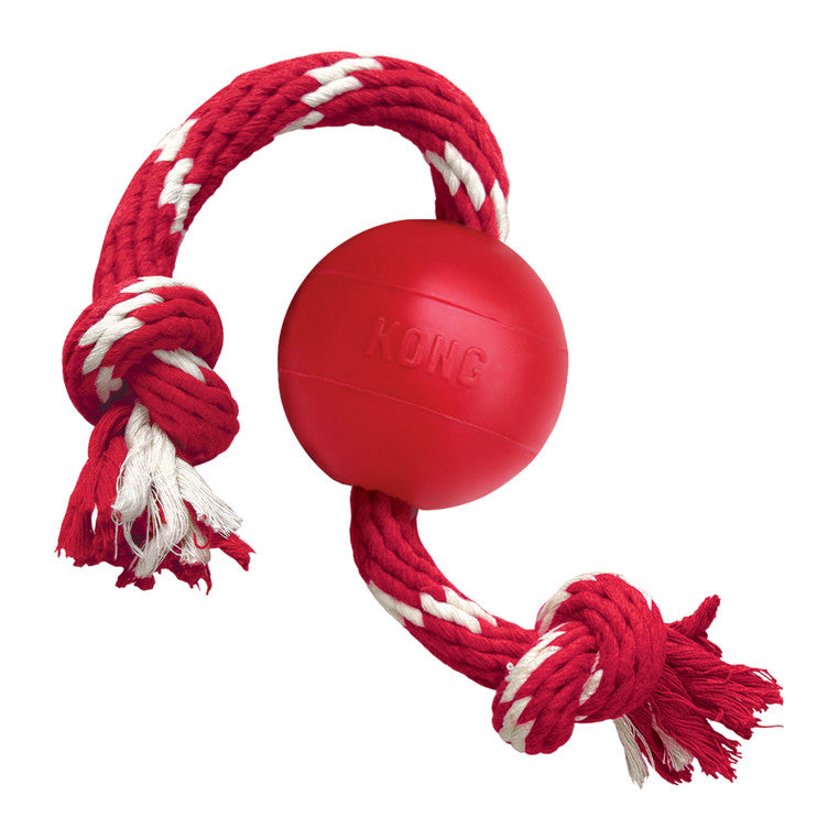 KONG Jouet Chien Balle avec Corde S