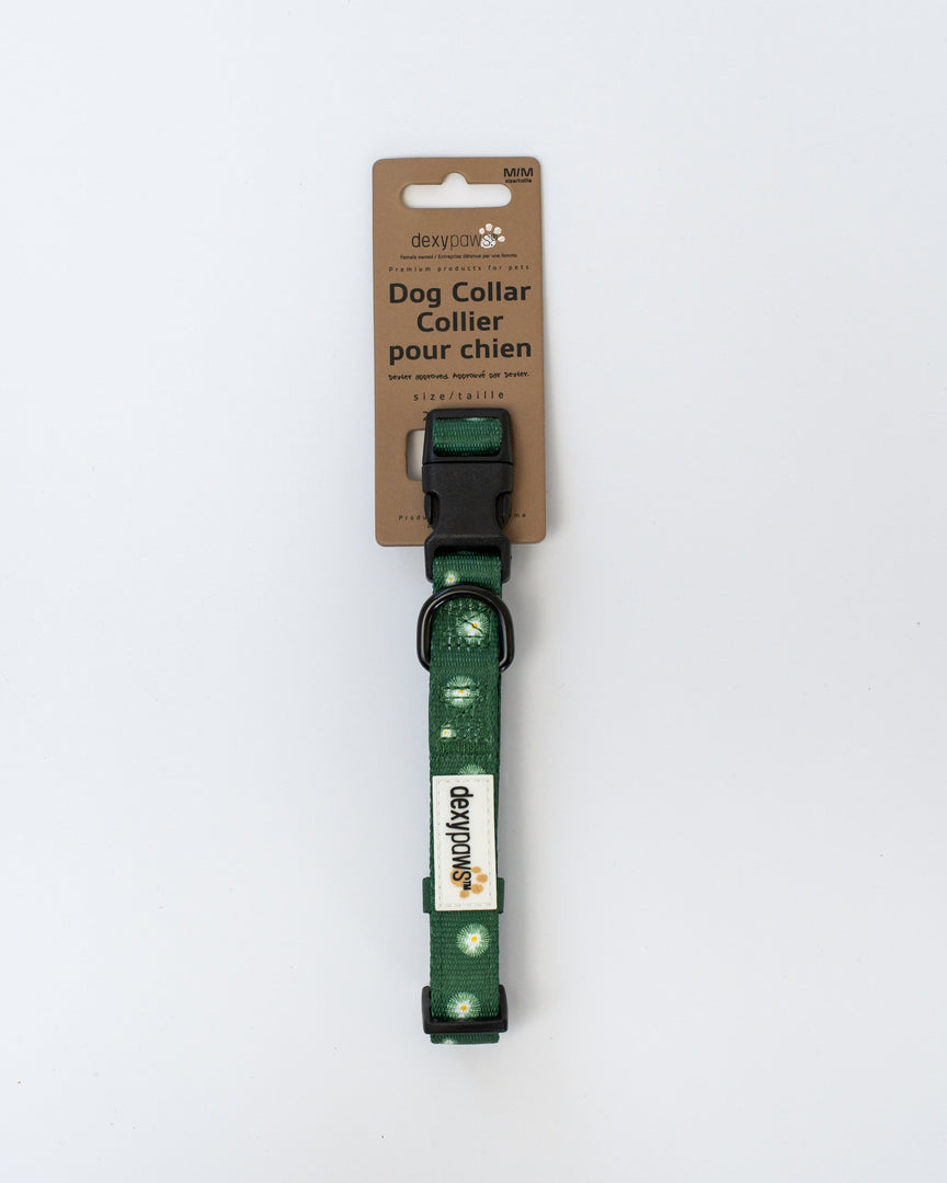 Dexypaws - Collier en Polyester Rembourré - Collier pour Chiens