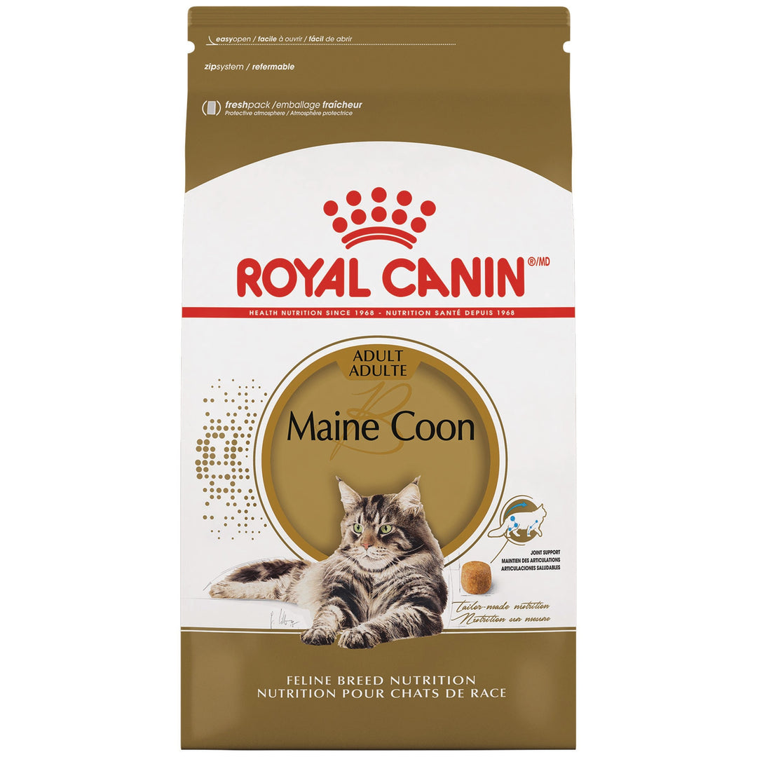 Royal Canin - Maine Coon - Nourriture Sèche pour Chats