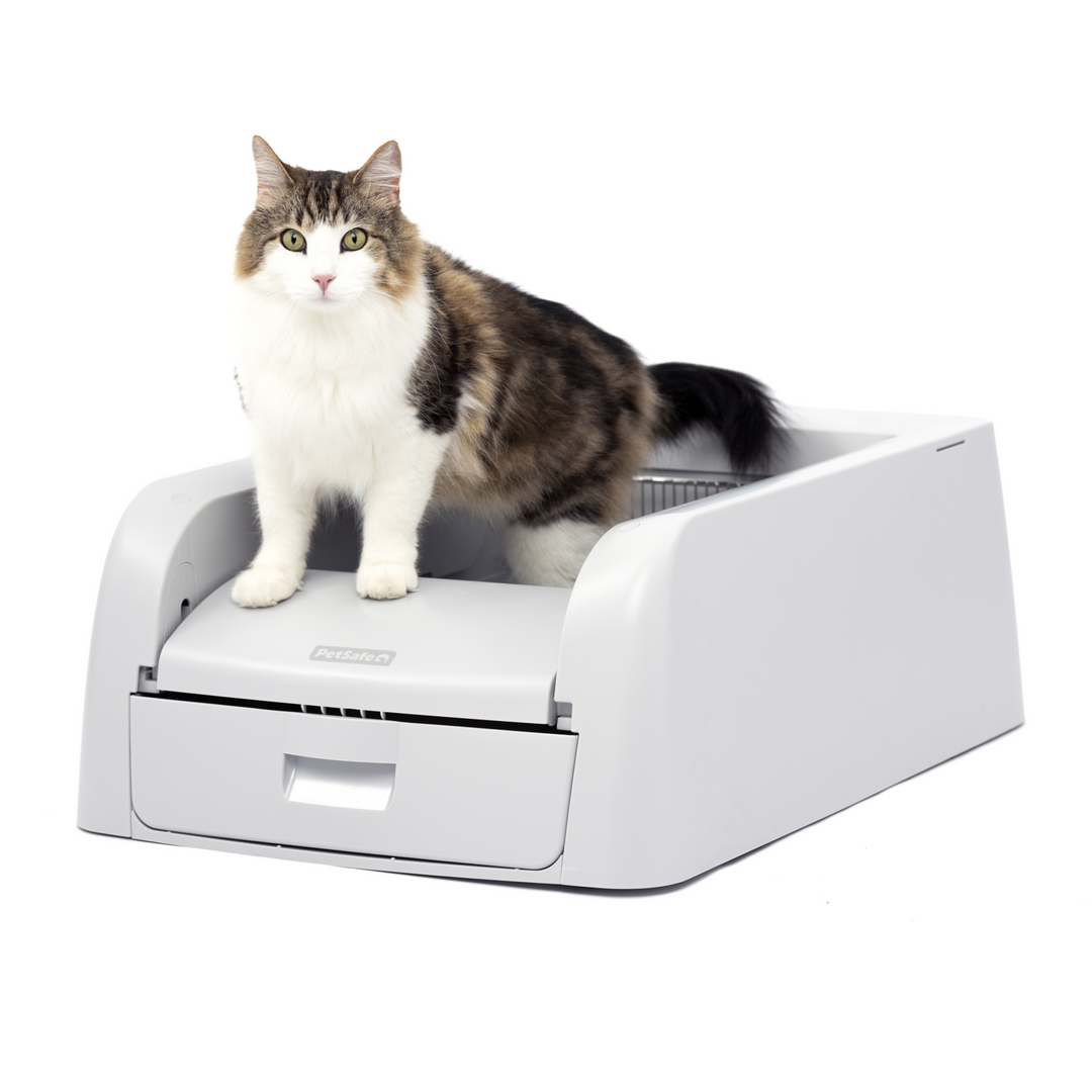 Petsafe - ScoopFree Bac Autonettoyant pour Litière Agglomérante - Bac à Litière Autonettoyant pour Chats