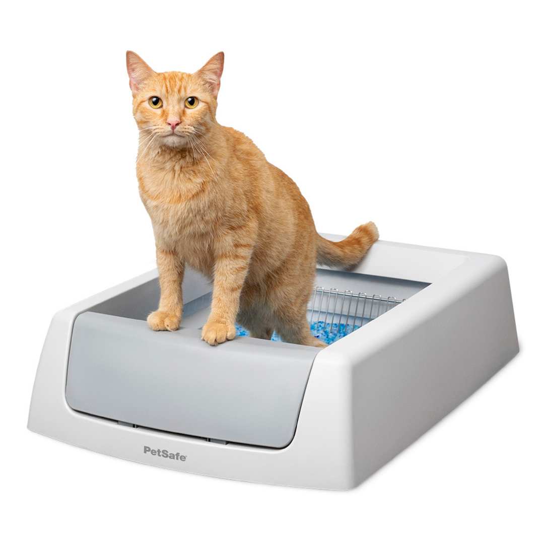 Petsafe - ScoopFree Crystal Classique - Bac à Litière Autonettoyant pour Chats