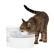 PETSAFE Fontaine Sans Pompe Outlast 1.7L