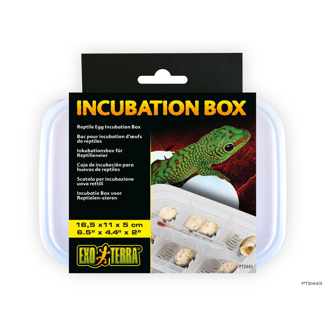 EXO TERRA Bac pour Incubation pour Reptiles