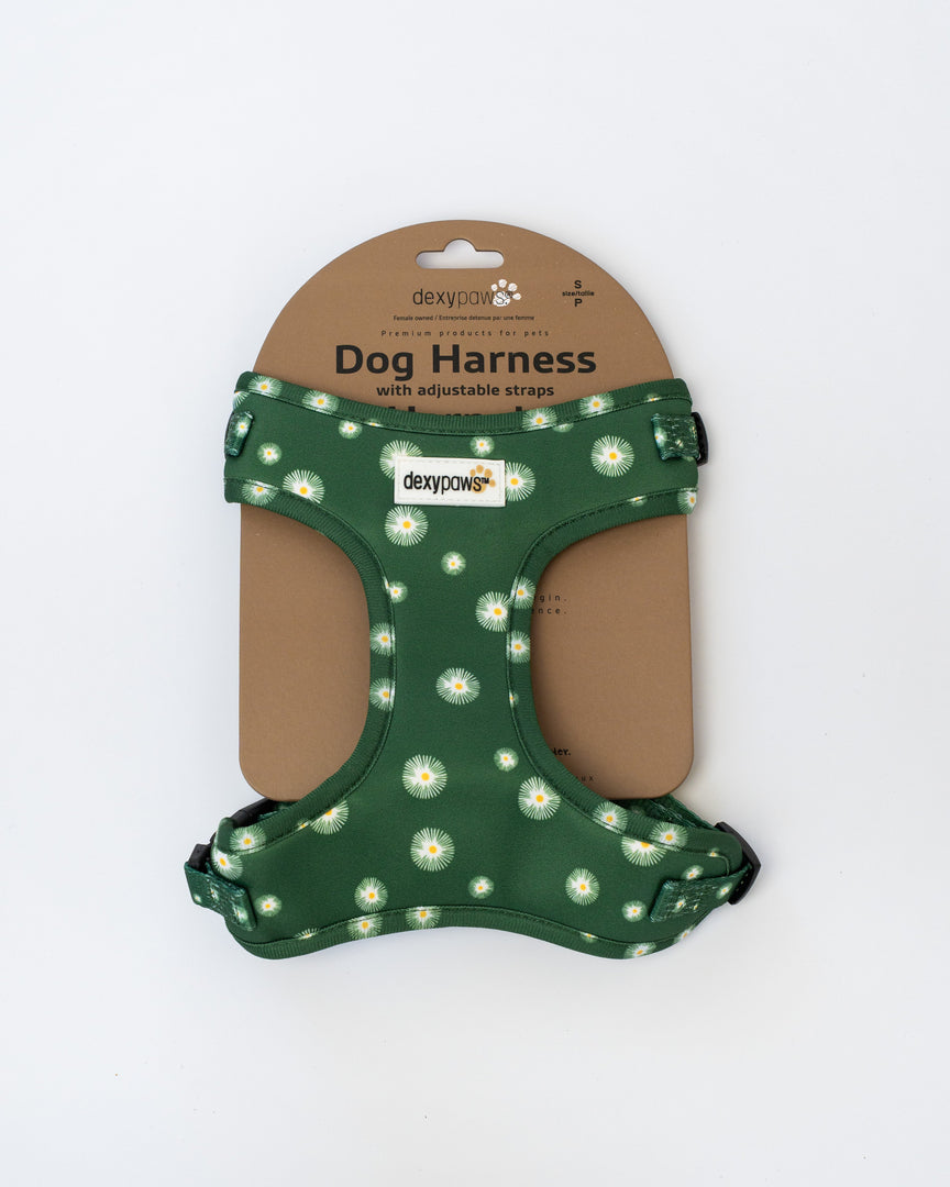 DEXYPAWS Harnais Néoprène Motifs Marguerites M Vert